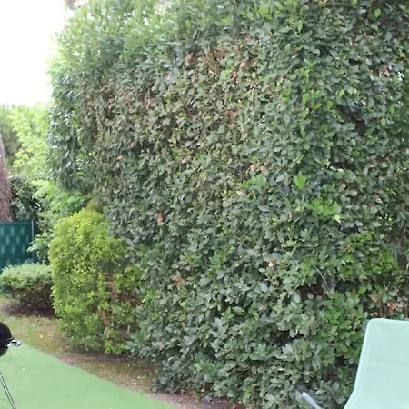 Entierement Renove A Les Bains Avec Jardin Apartment Ronce-les-Bains